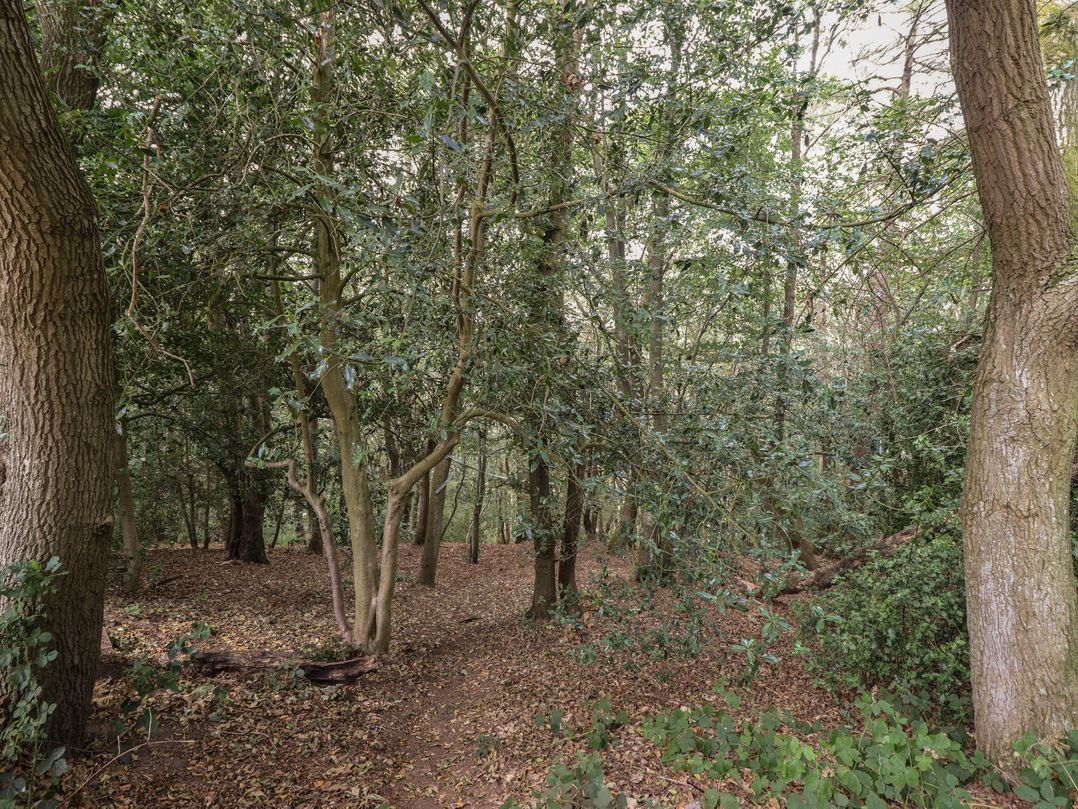 Plot 13A