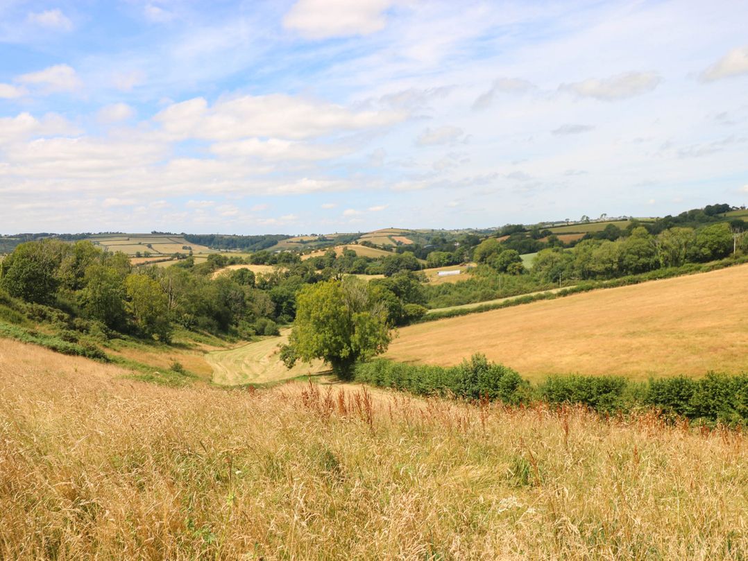 Coedllys Uchaf Cottage