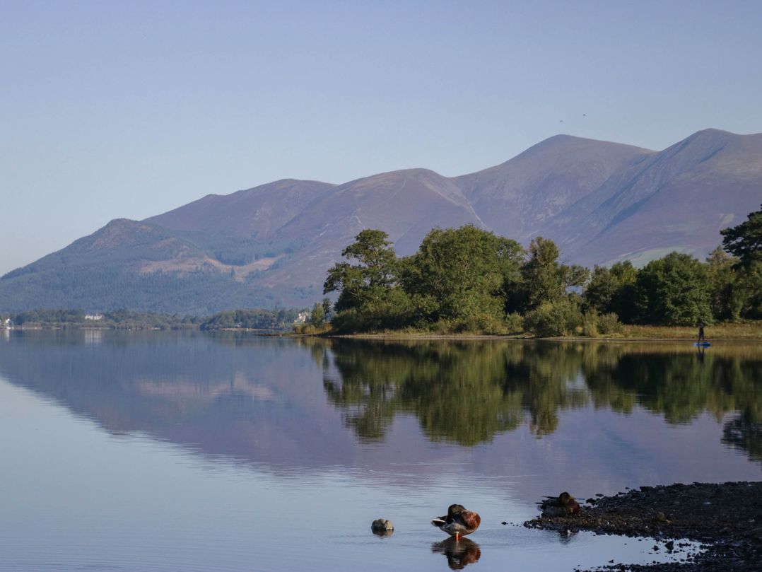 Briargarth