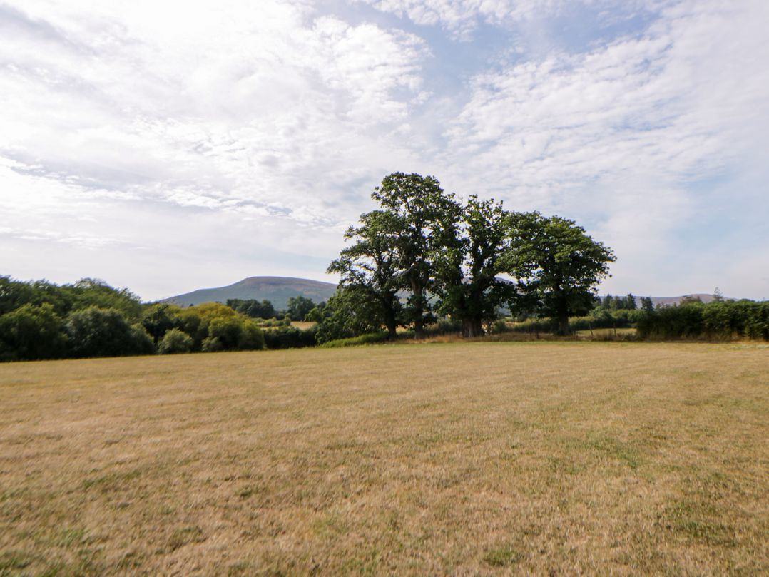 Sycamore Lodge