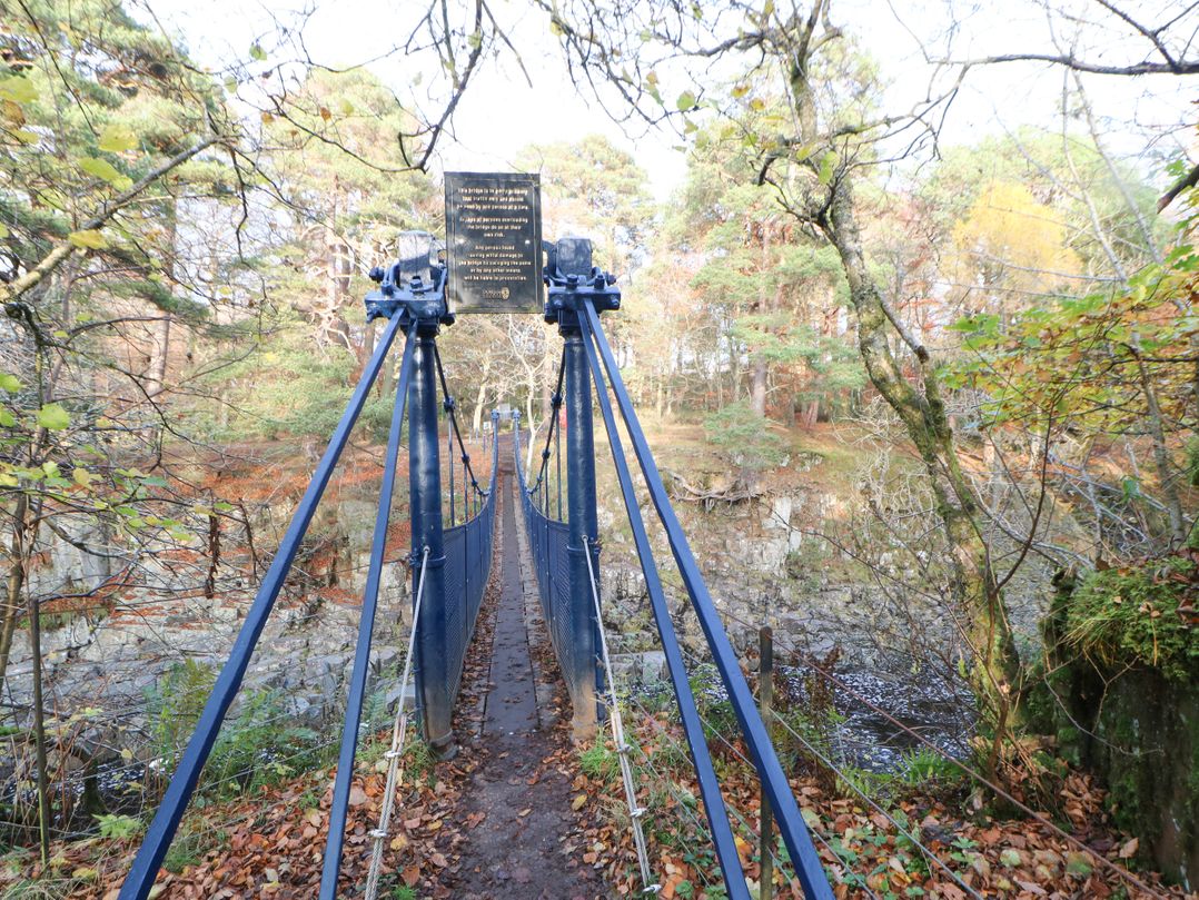 Woody Bank