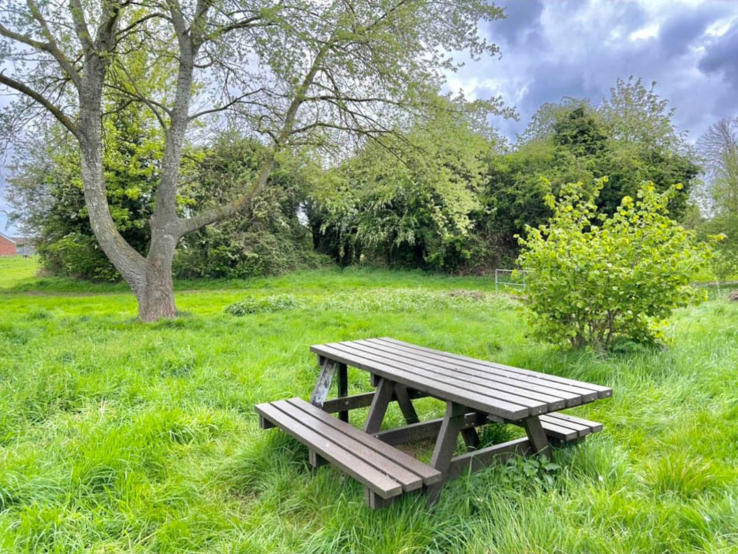 Cosy and secluded brook side lodge