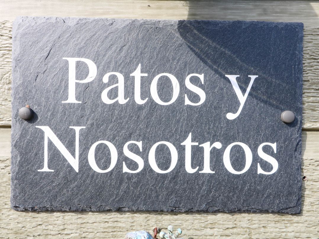 Patos y Nosotros