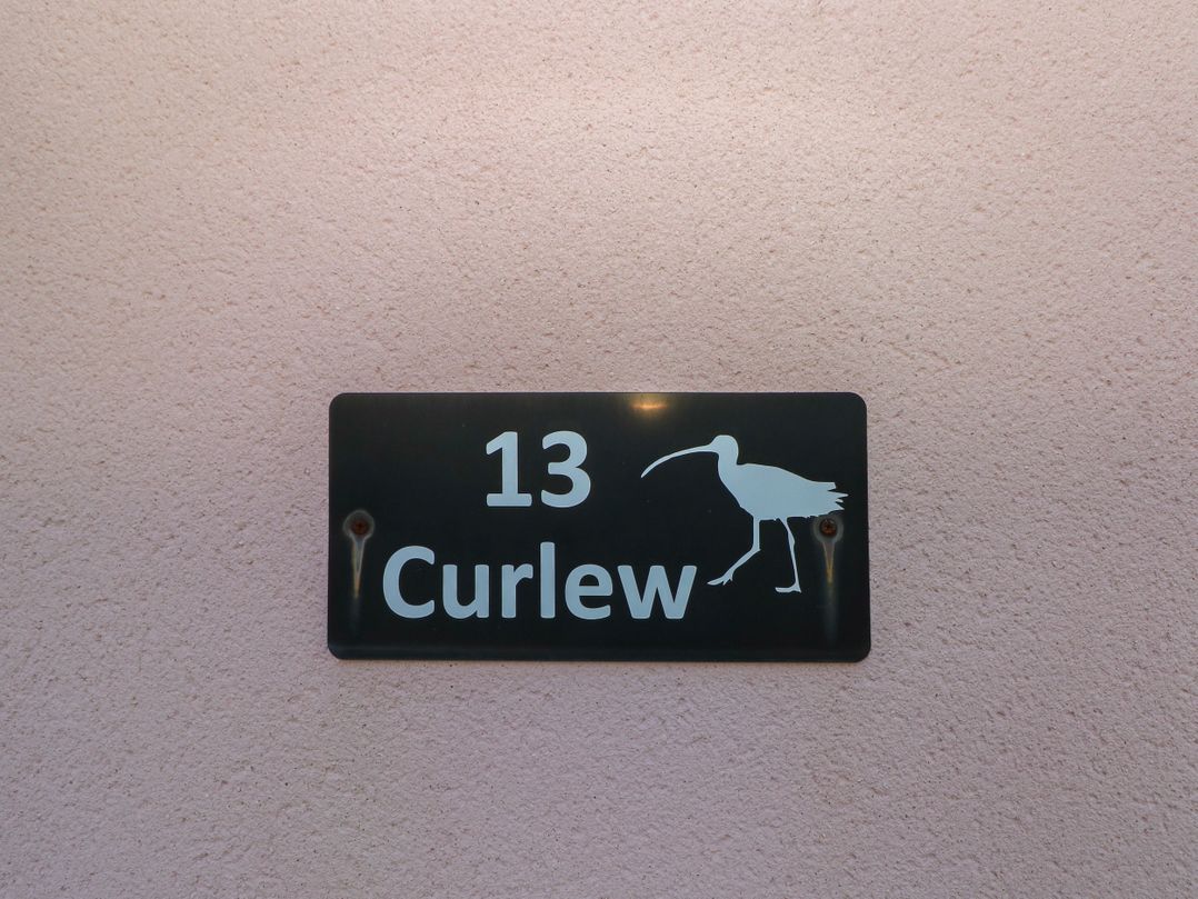 Curlew