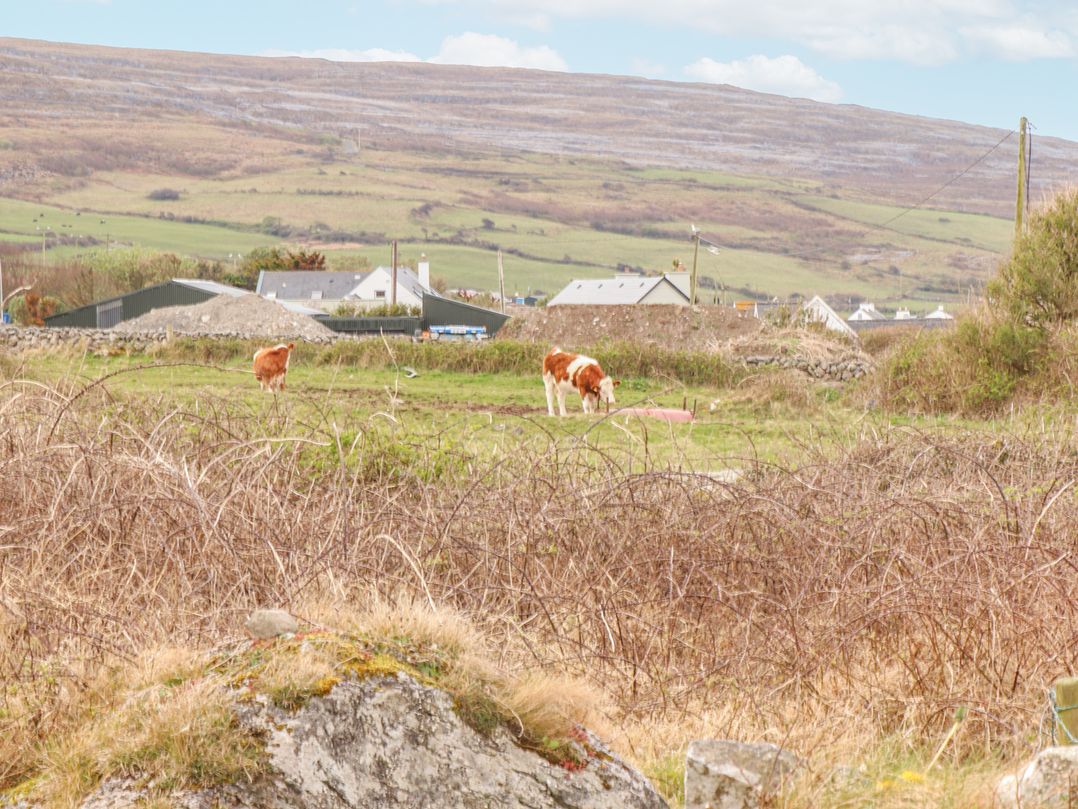 Cúnna Bán