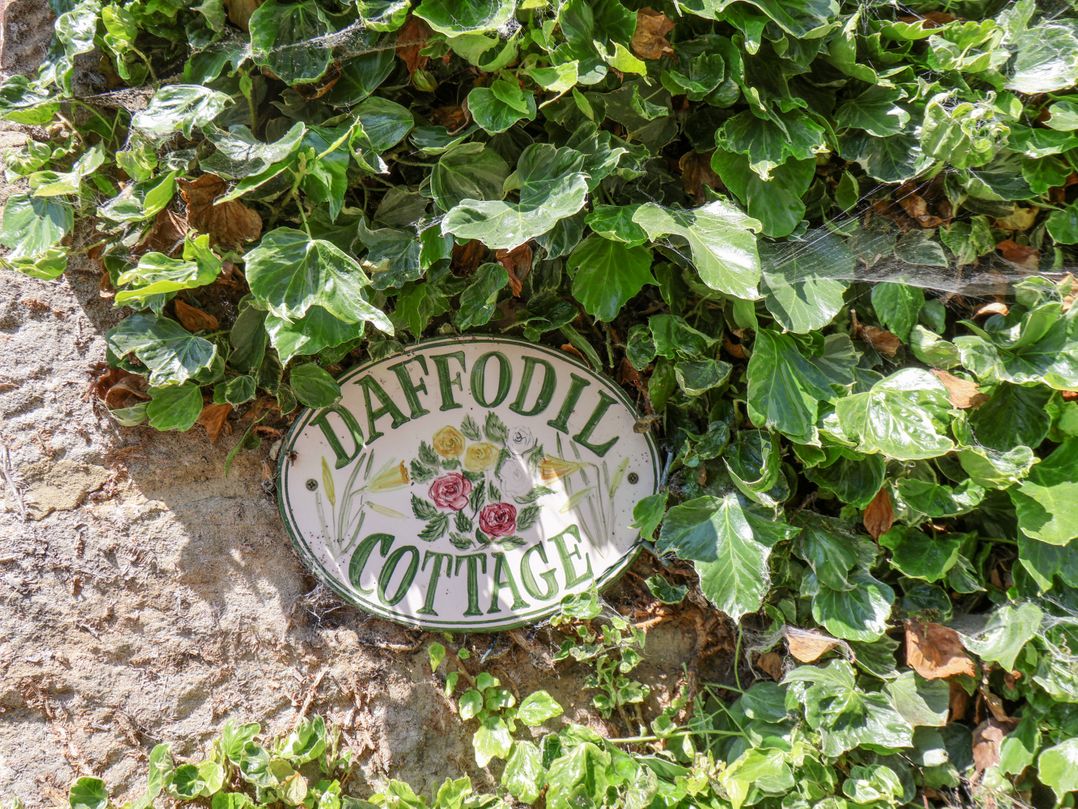Daffodil Cottage
