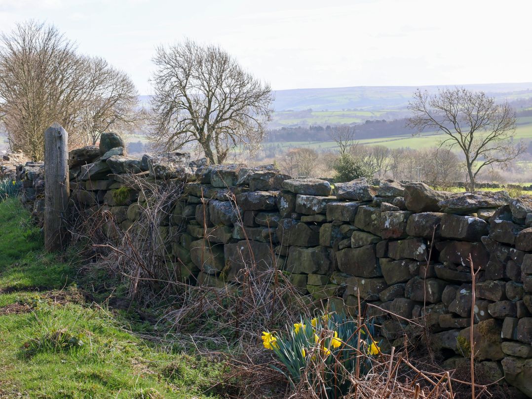 Daffodil Cottage