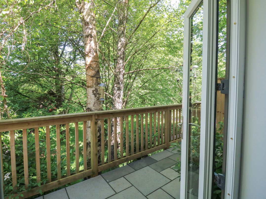 Treetops