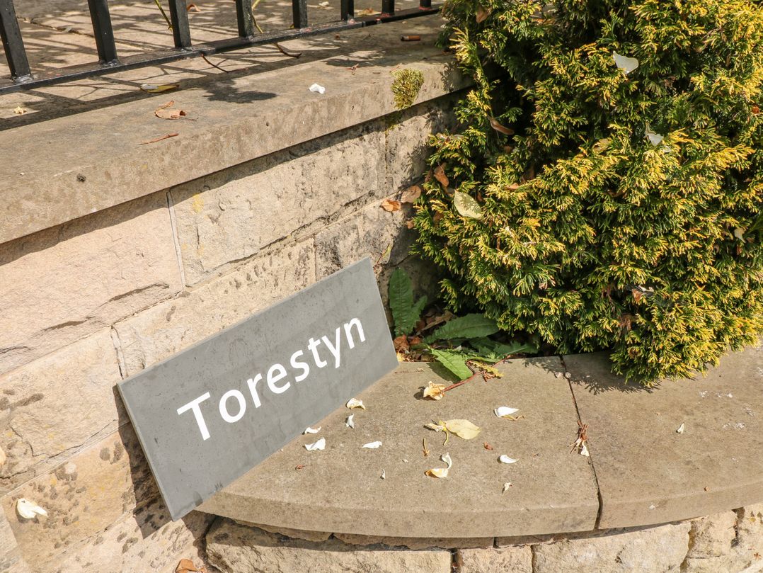 Torestyn