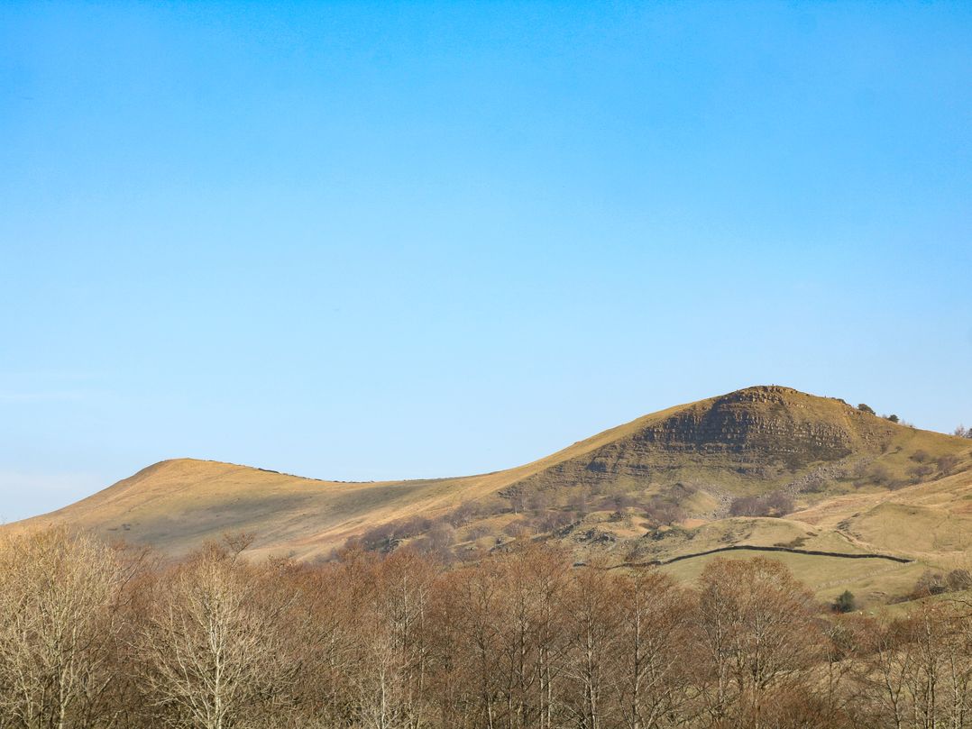 Meadow View