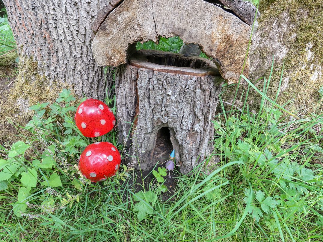 Bullace Barn
