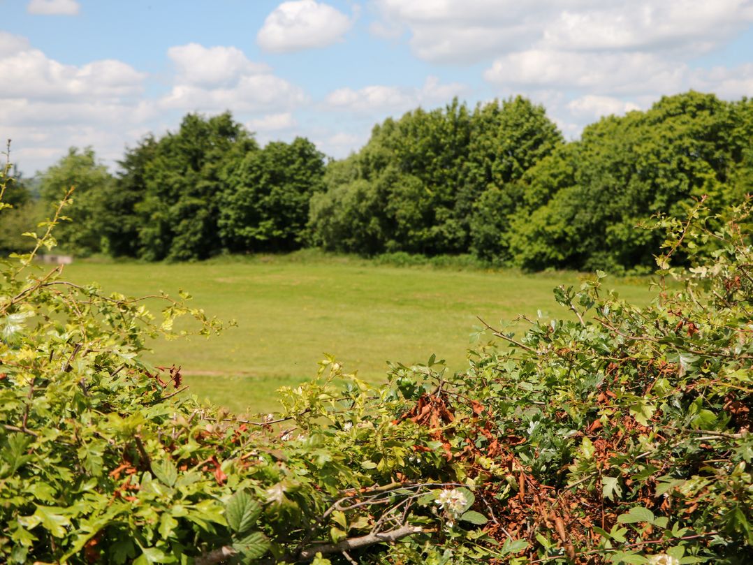 Basford View