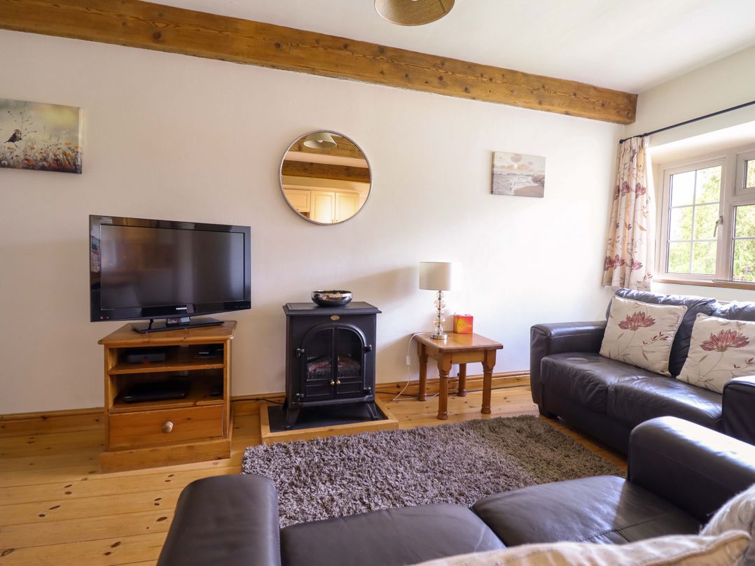 A living room with a television and a fireplace at Stabal Cottage in Dolgellau