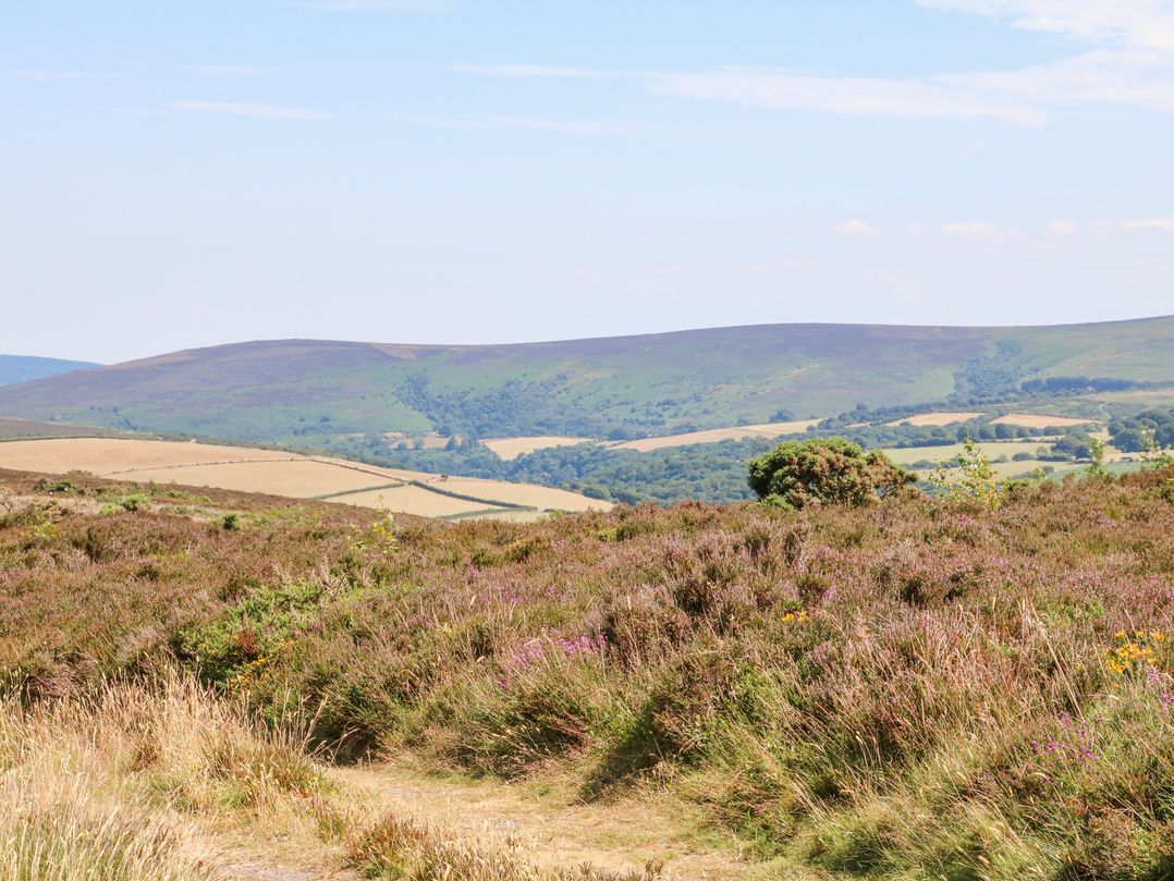 Greenslades