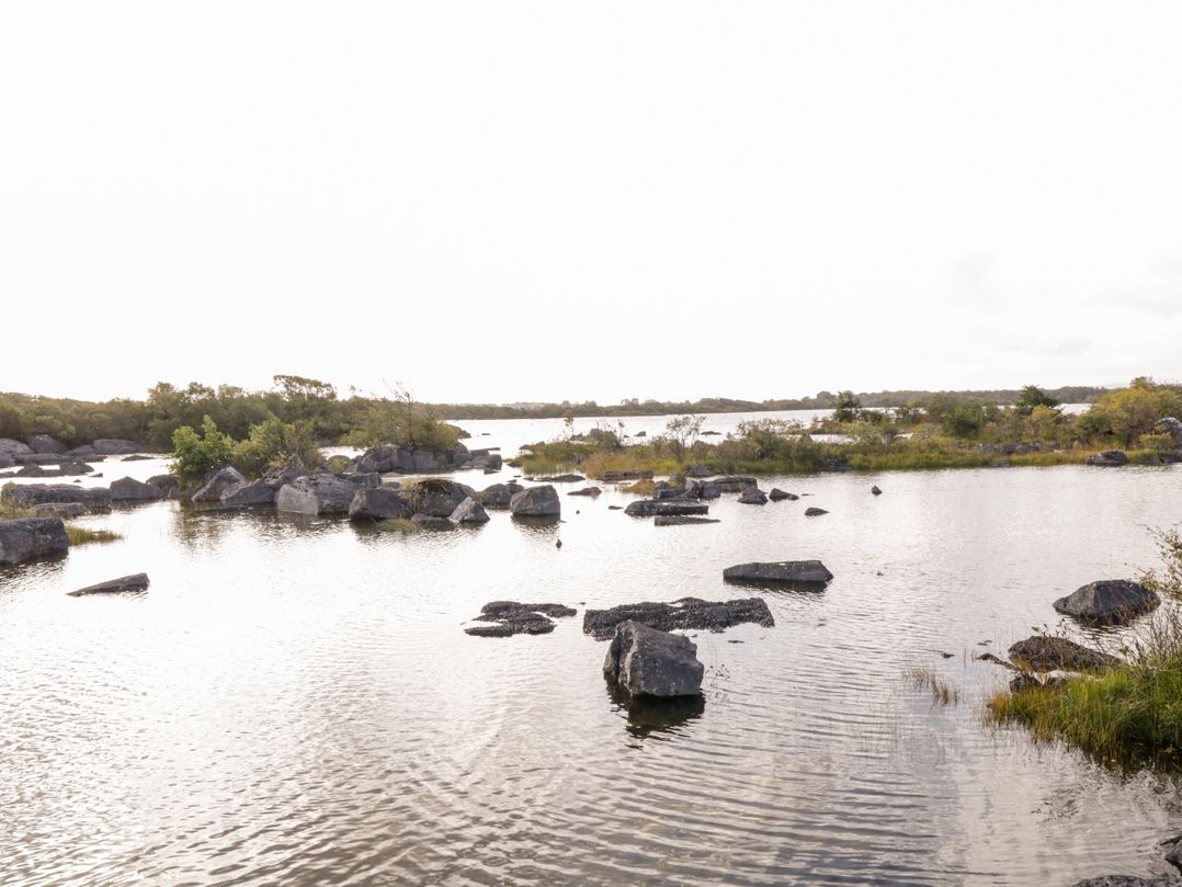 Lakeside