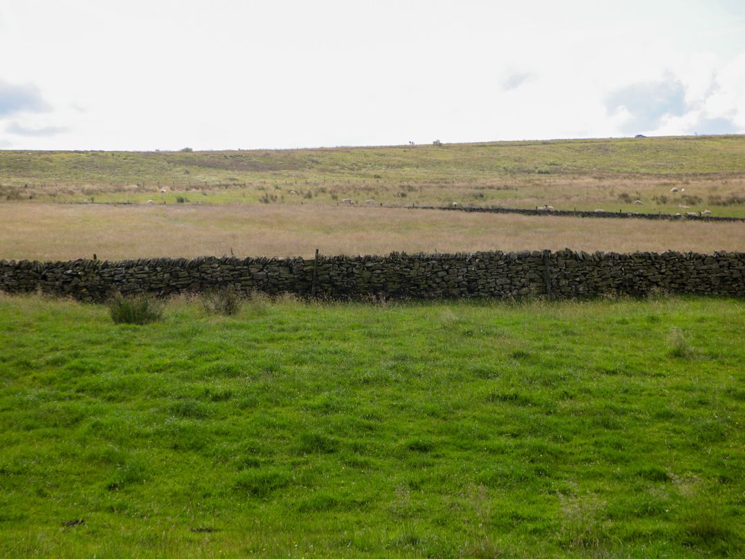 Downsdale Cottage