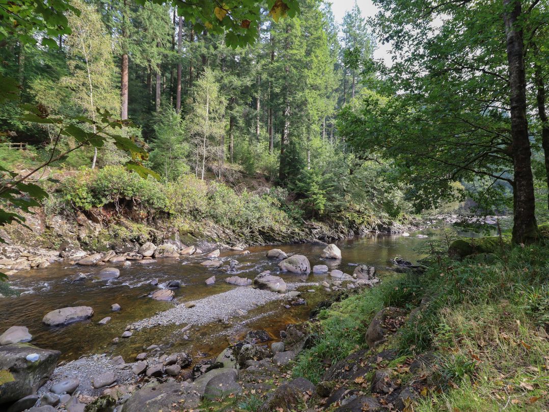 Bryn Cemlyn