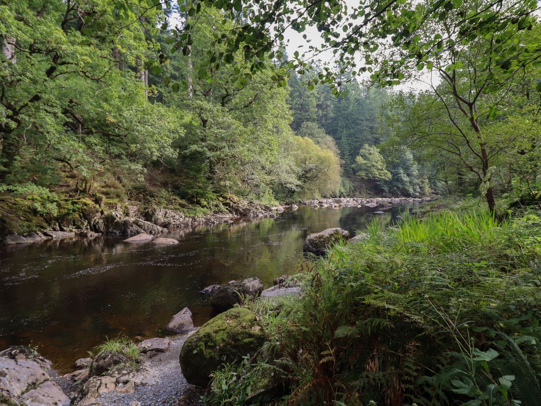 Bryn Cemlyn