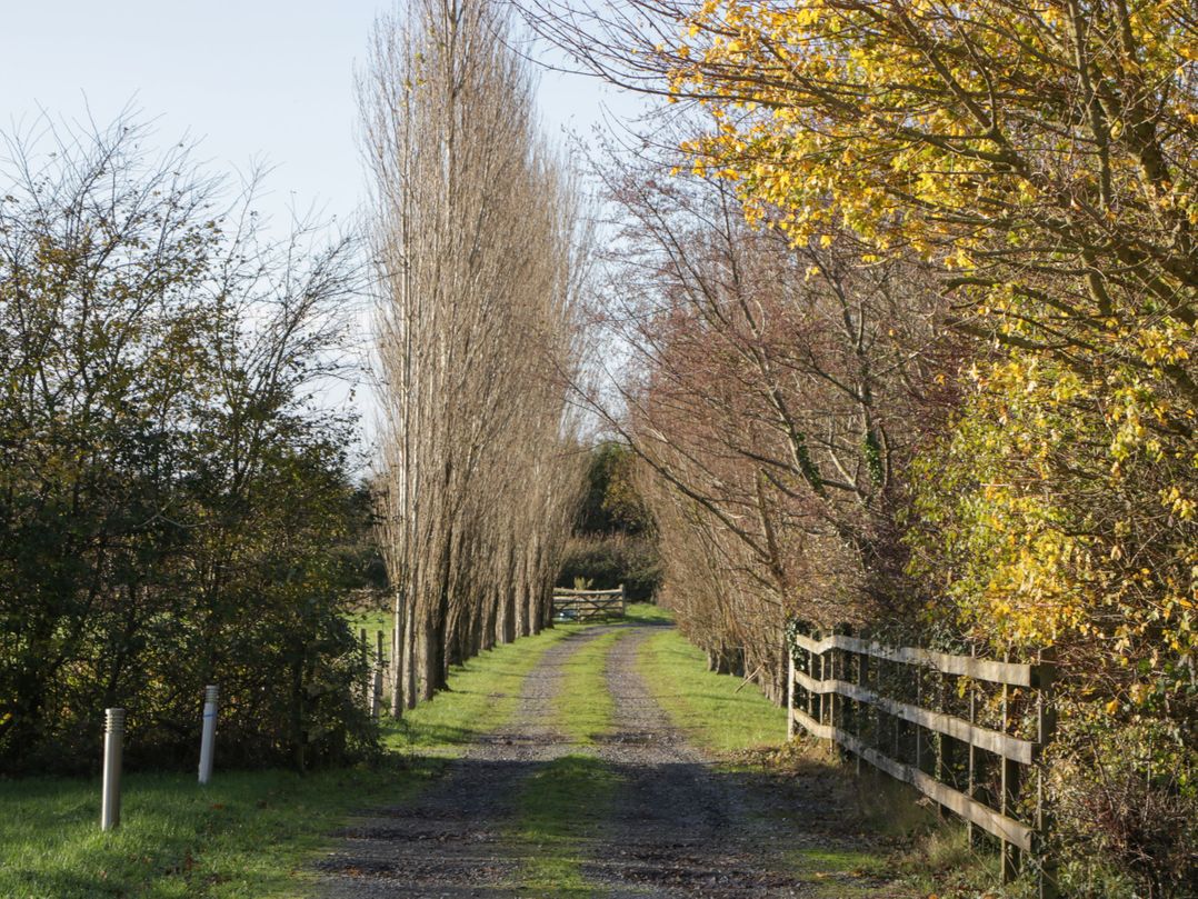Blenheim Lodge