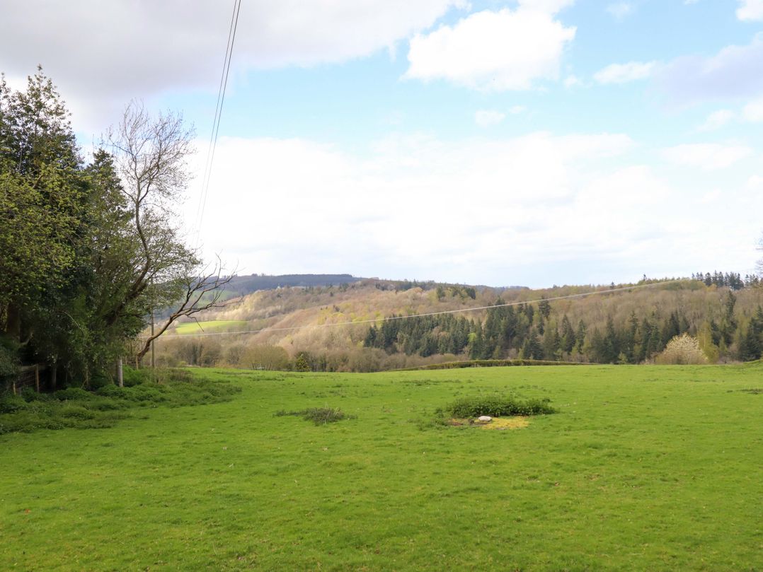 Penymaes