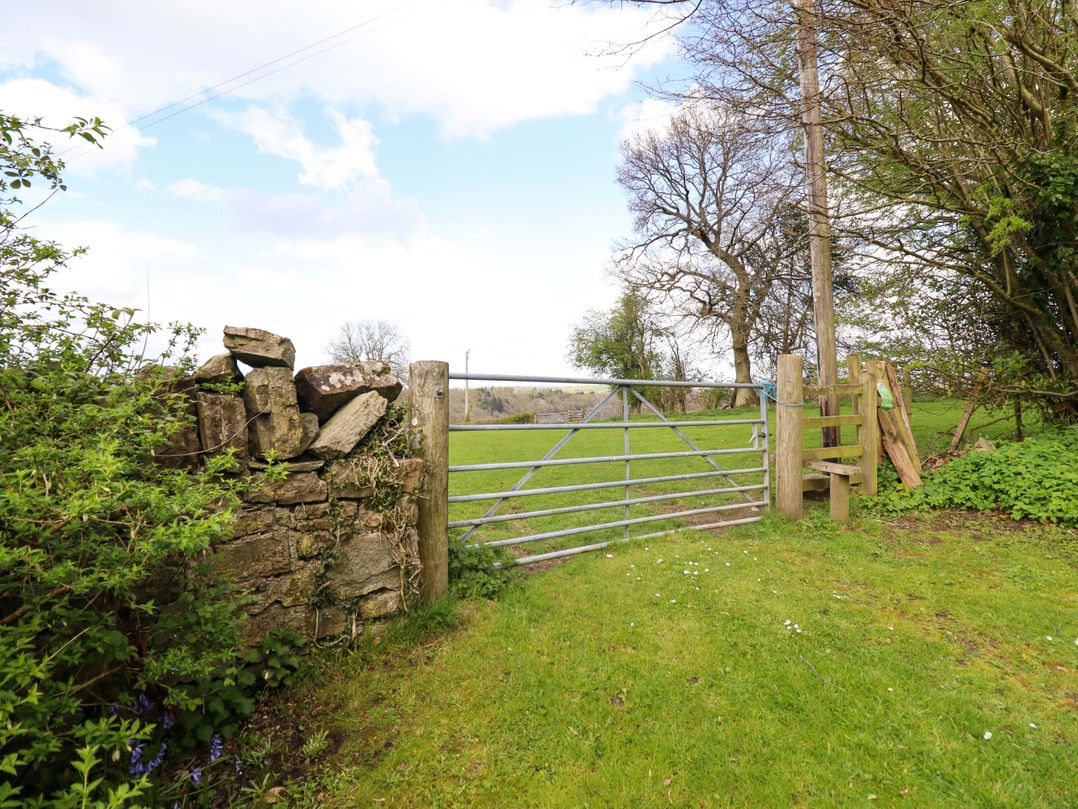 Penymaes