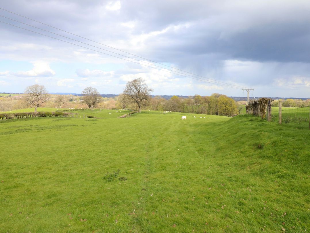 Penymaes
