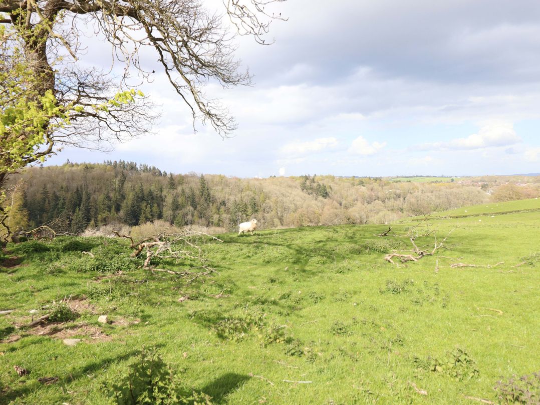 Penymaes
