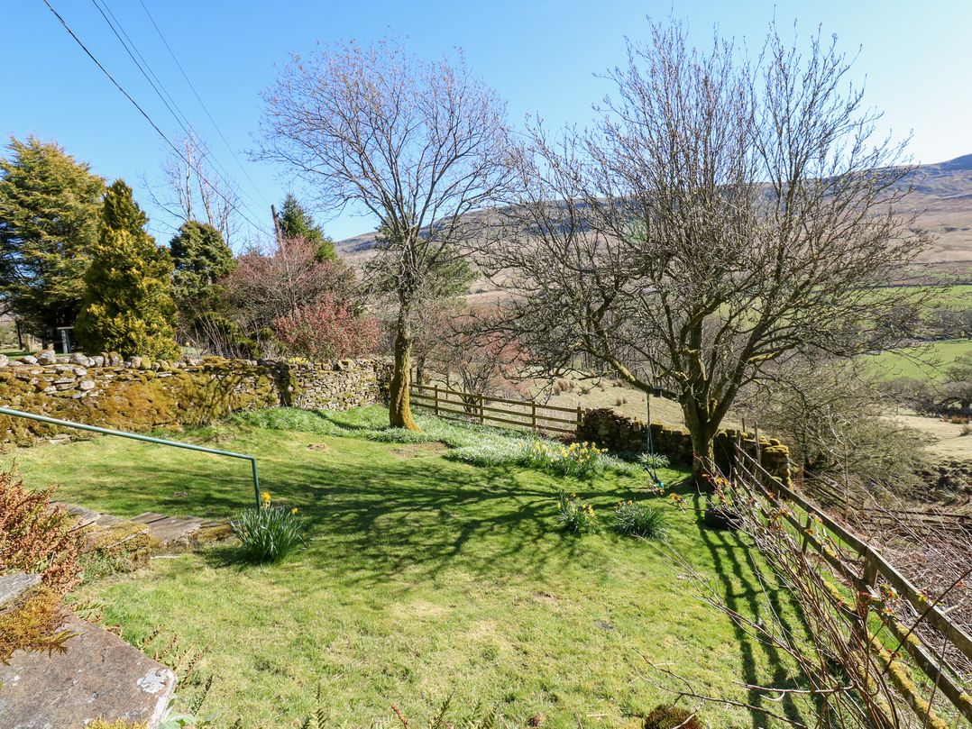 Sycamore Tree Farm