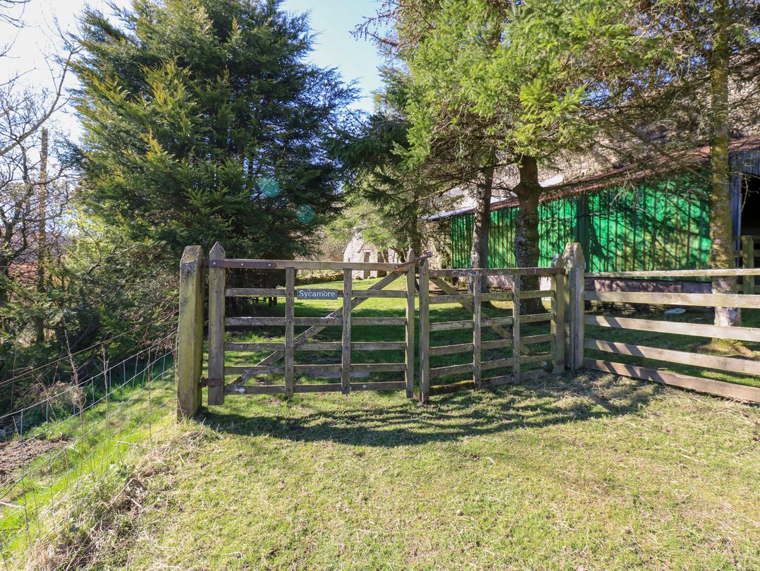 Sycamore Tree Farm
