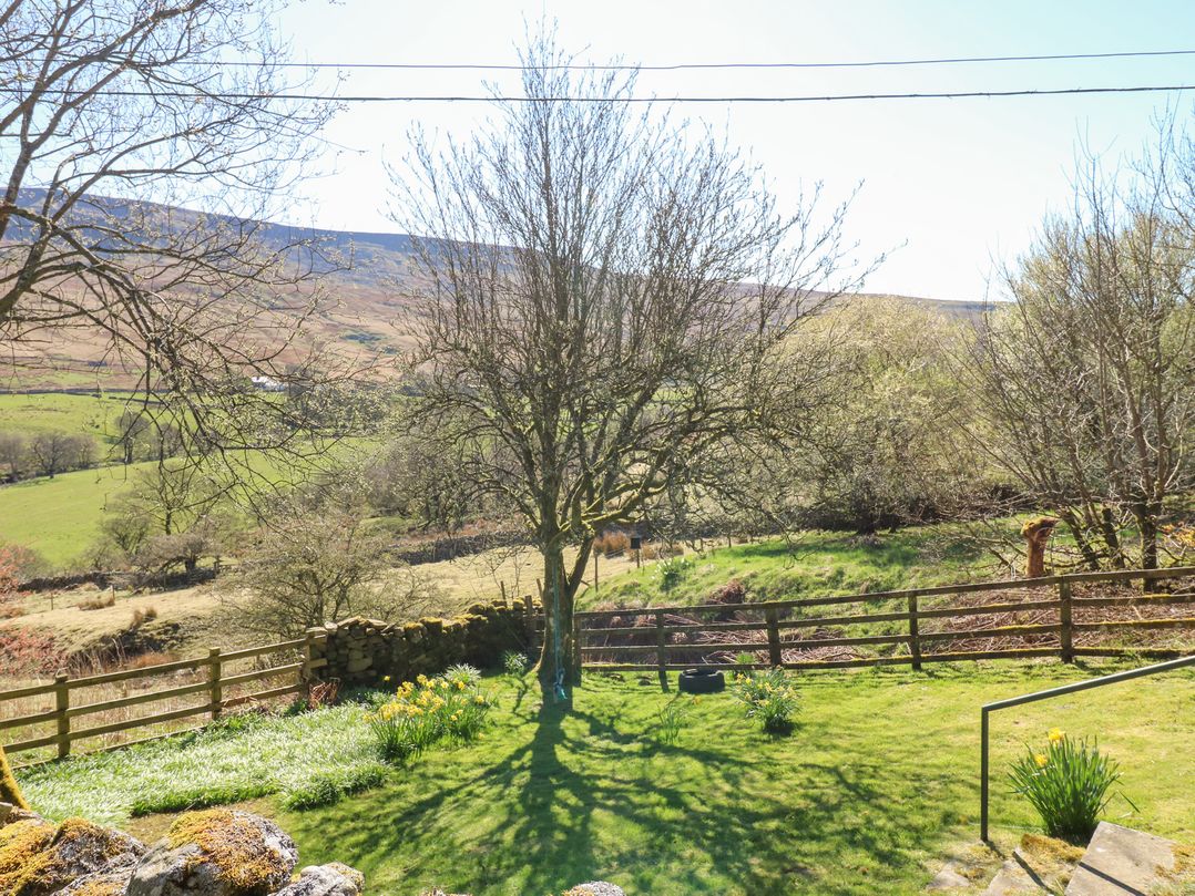 Sycamore Tree Farm