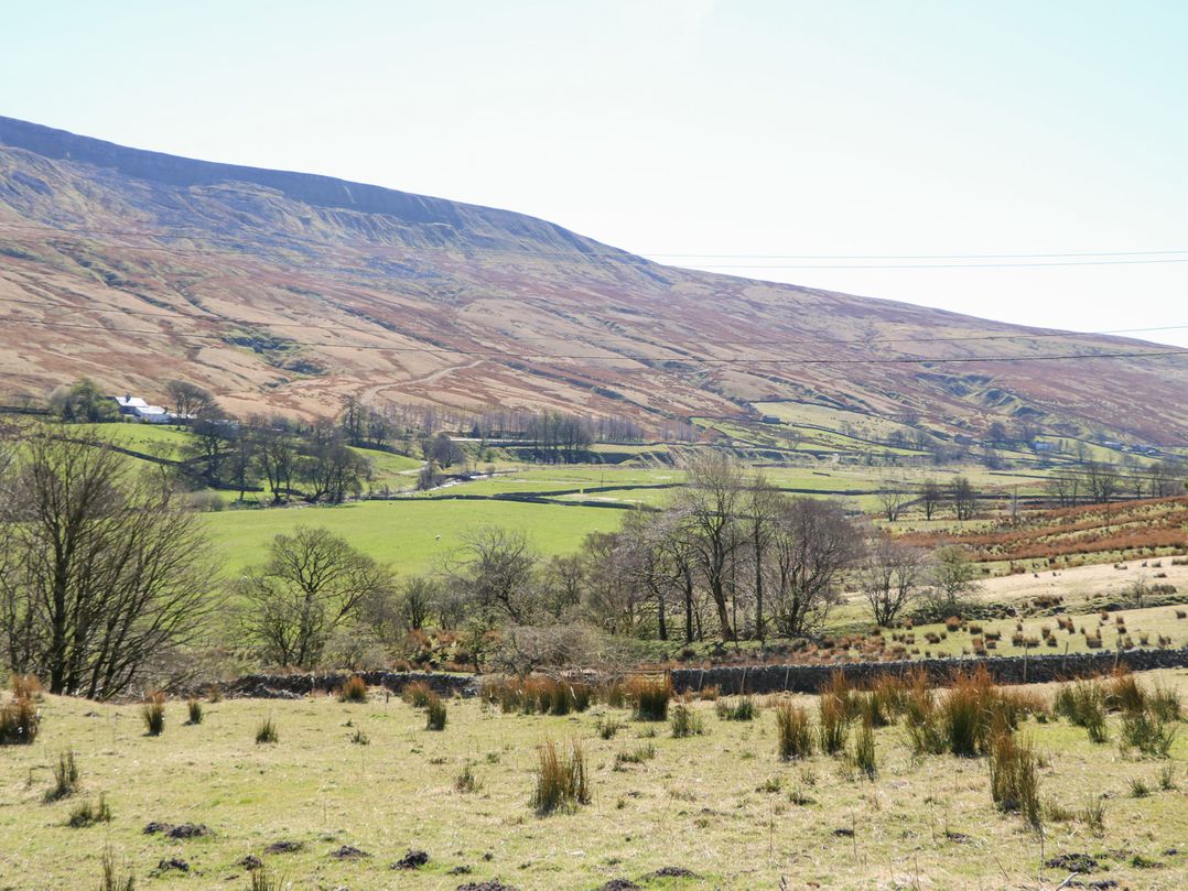 Sycamore Tree Farm
