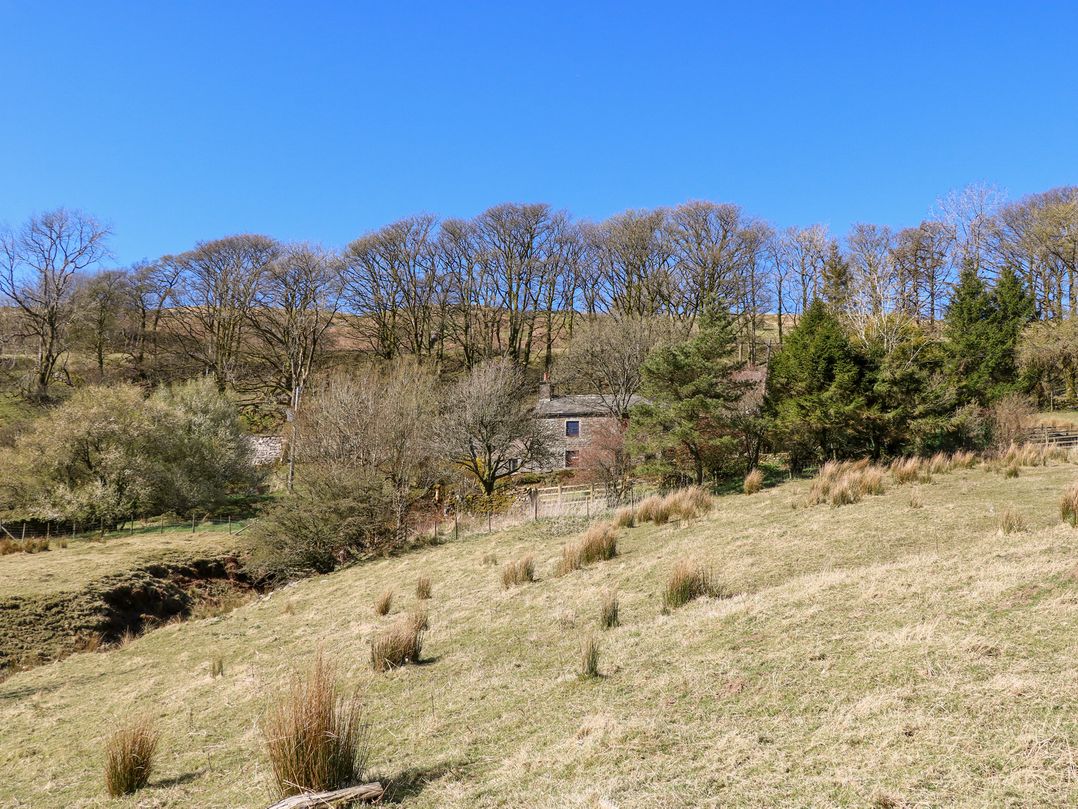 Sycamore Tree Farm