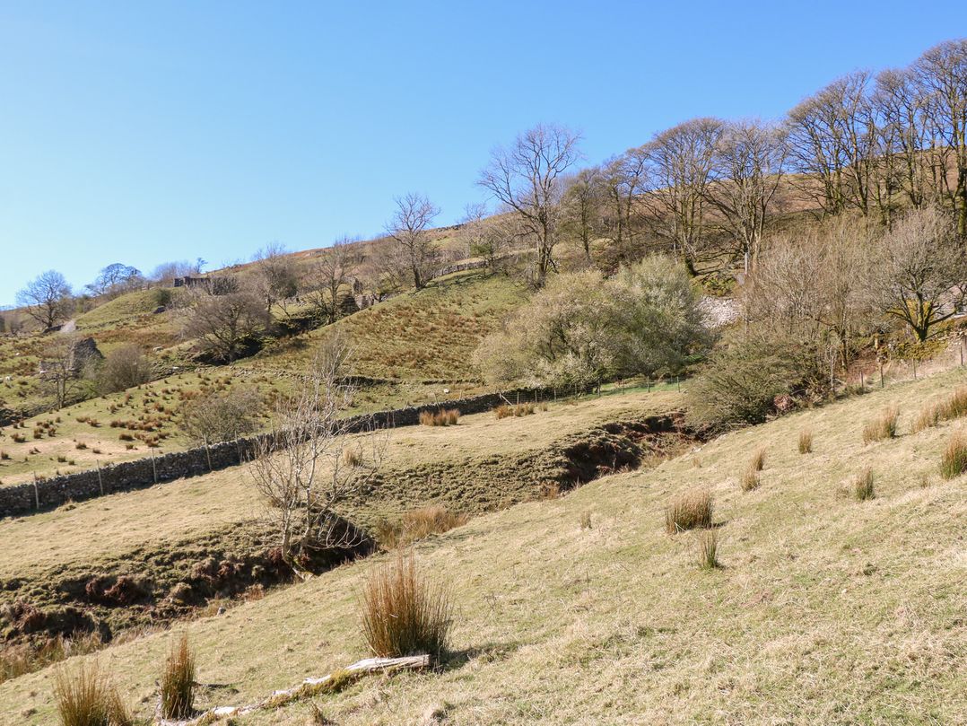 Sycamore Tree Farm