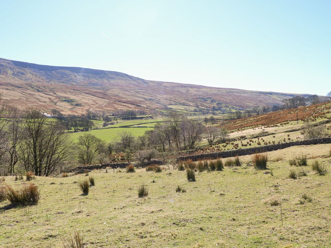 Sycamore Tree Farm