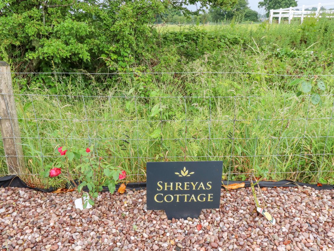 Sunnyside Shreyas