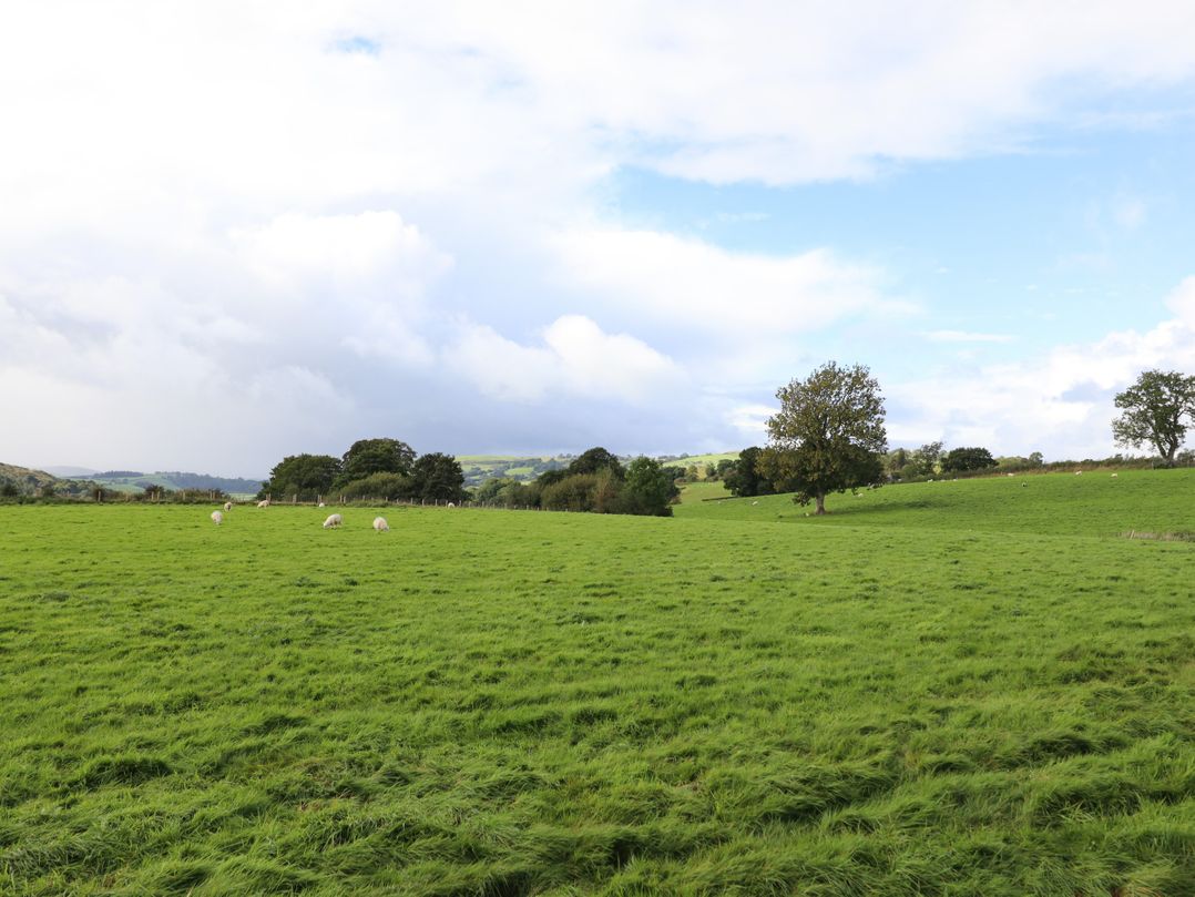 Ty Newydd