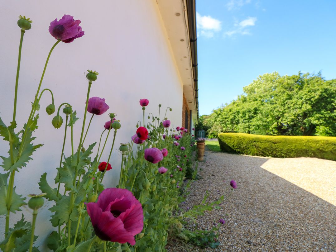 The Coach House
