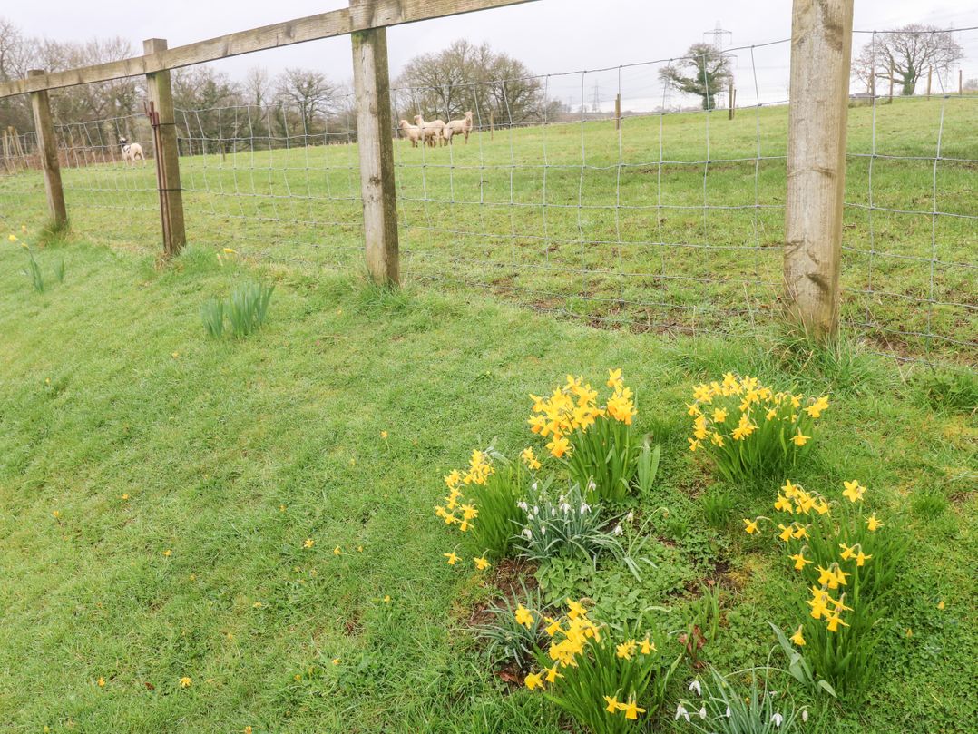 The Barn at Harrolds Farm