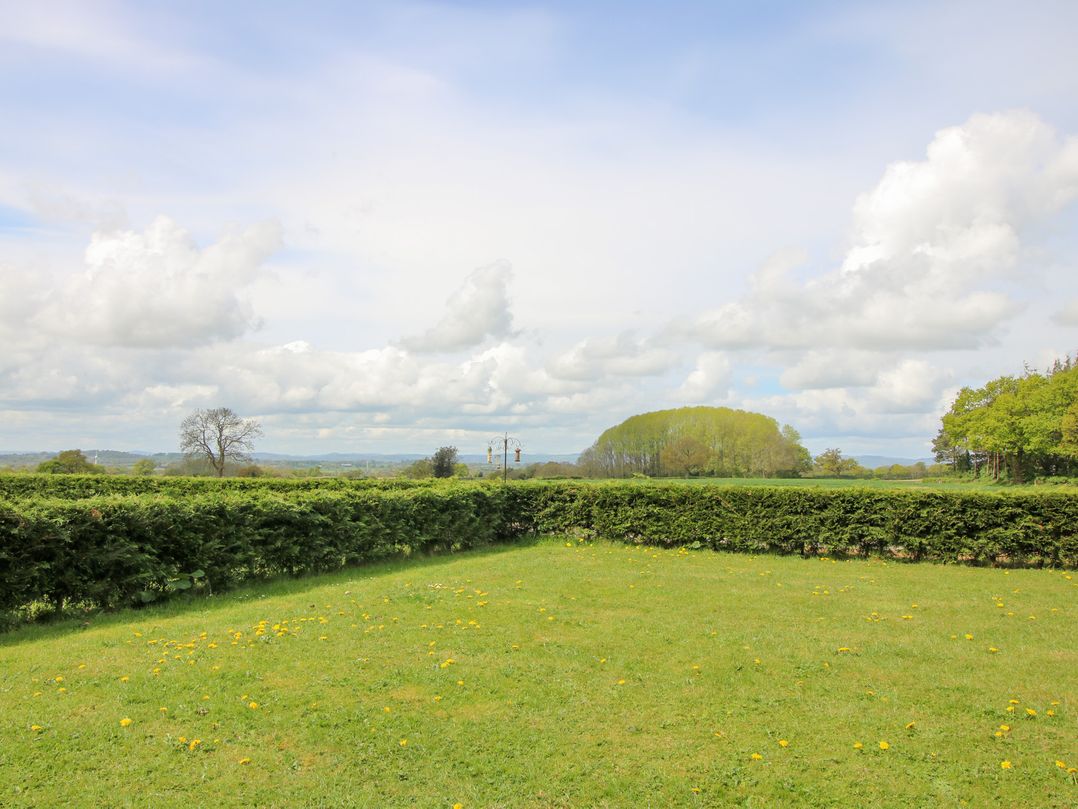 Spinney View