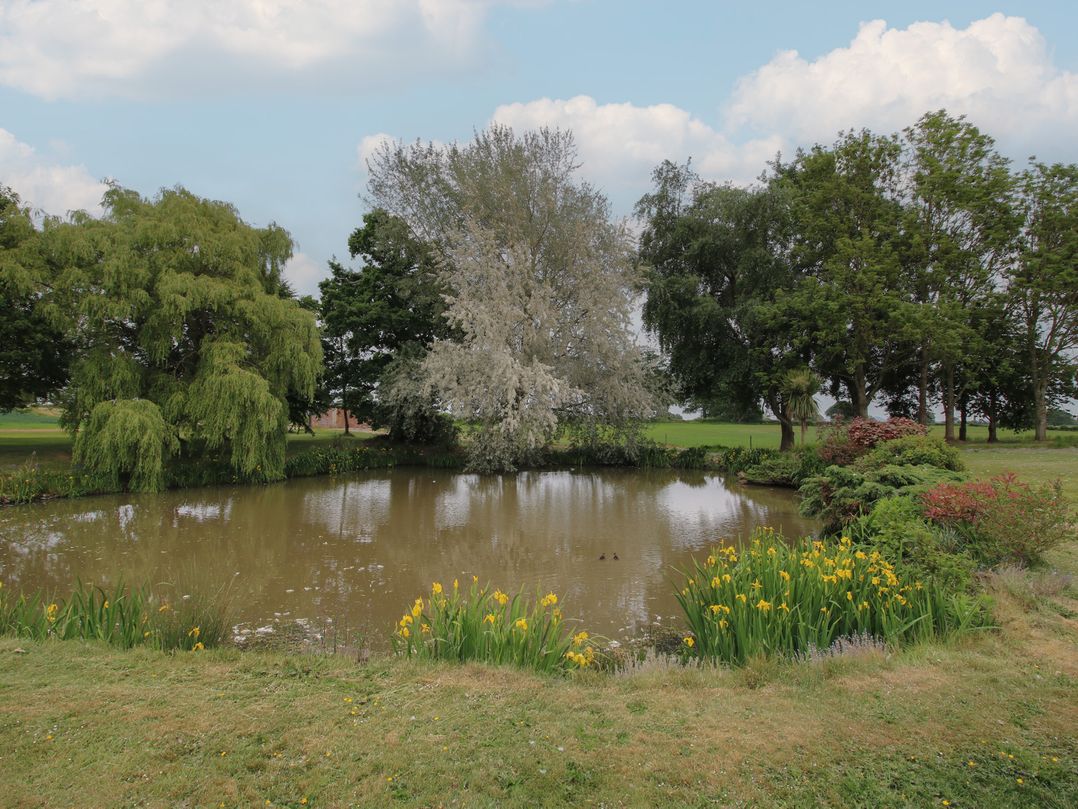 The Oaks