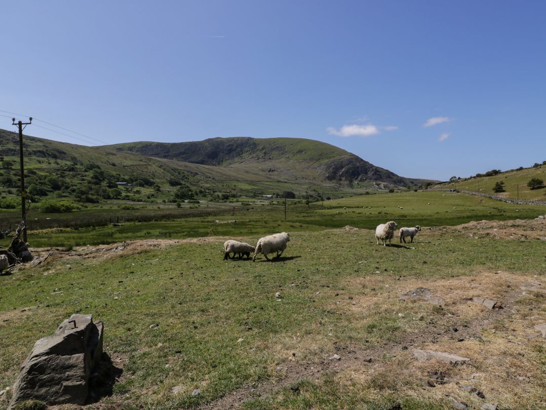 Moelfre - Shepherds Hut