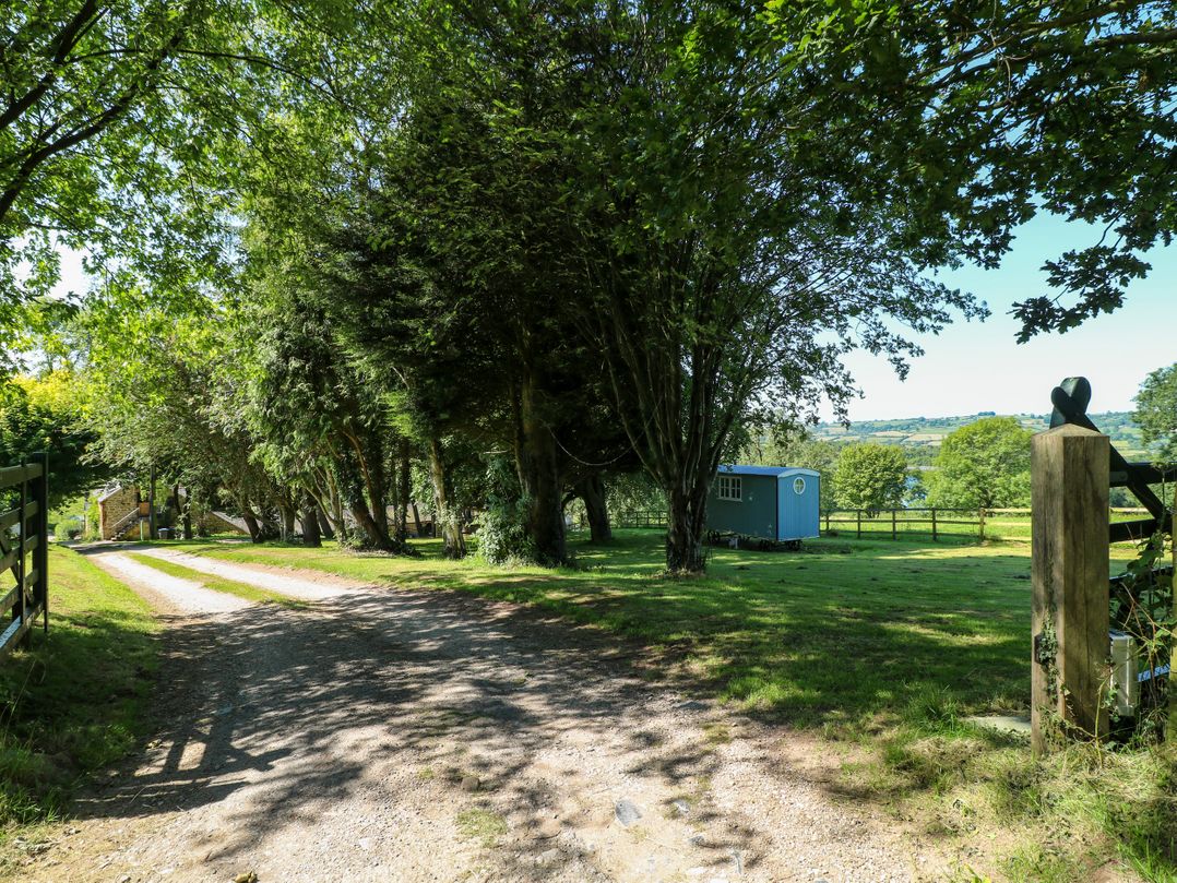 The Ivy Barn