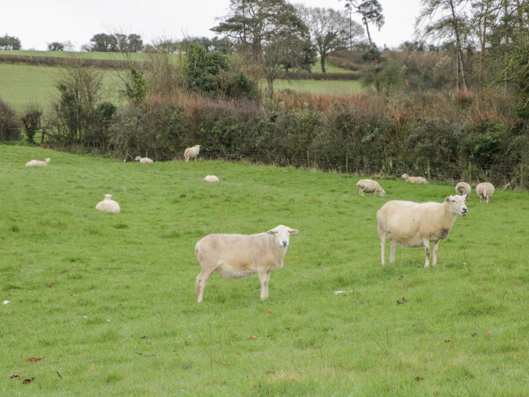 Oxbarton