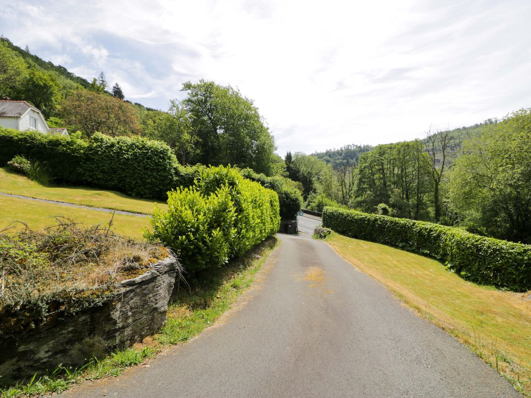 Coedfryn