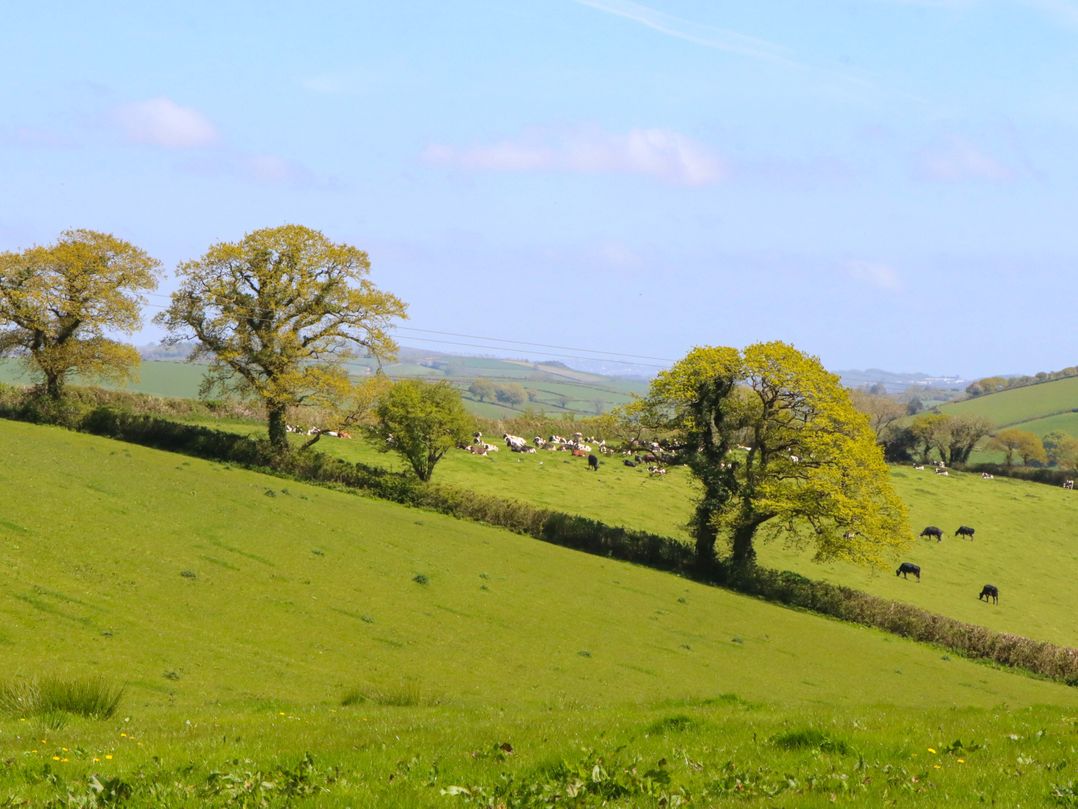 East Bickleigh