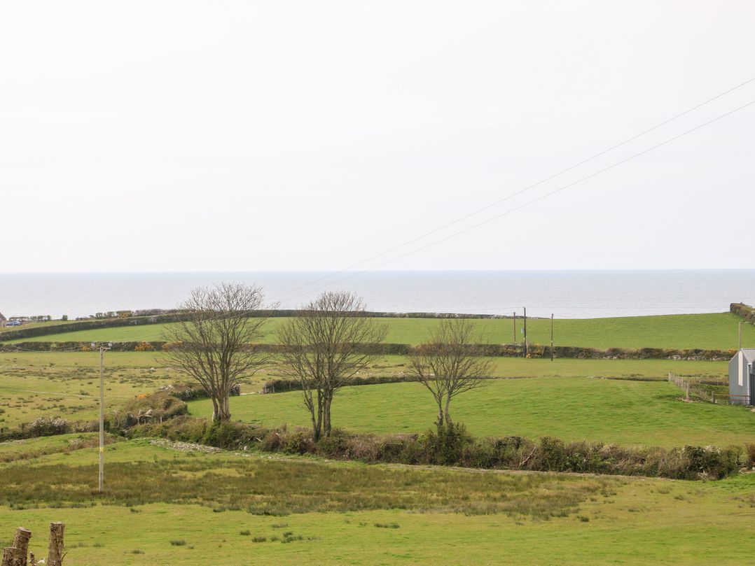 Coetsiws