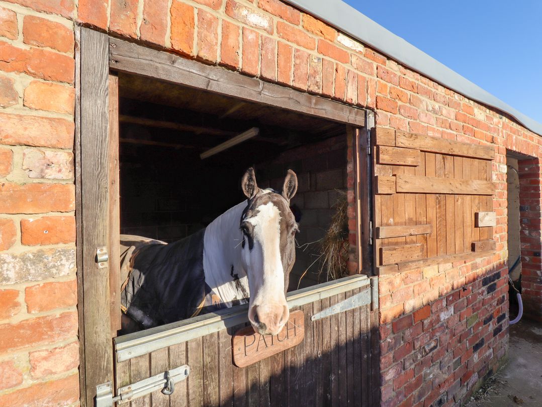 Saddle Rack Cottage