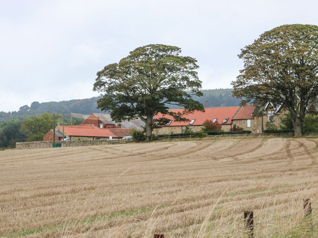Cross Cottage