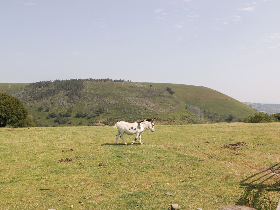 Penrhiwarwydd Barn