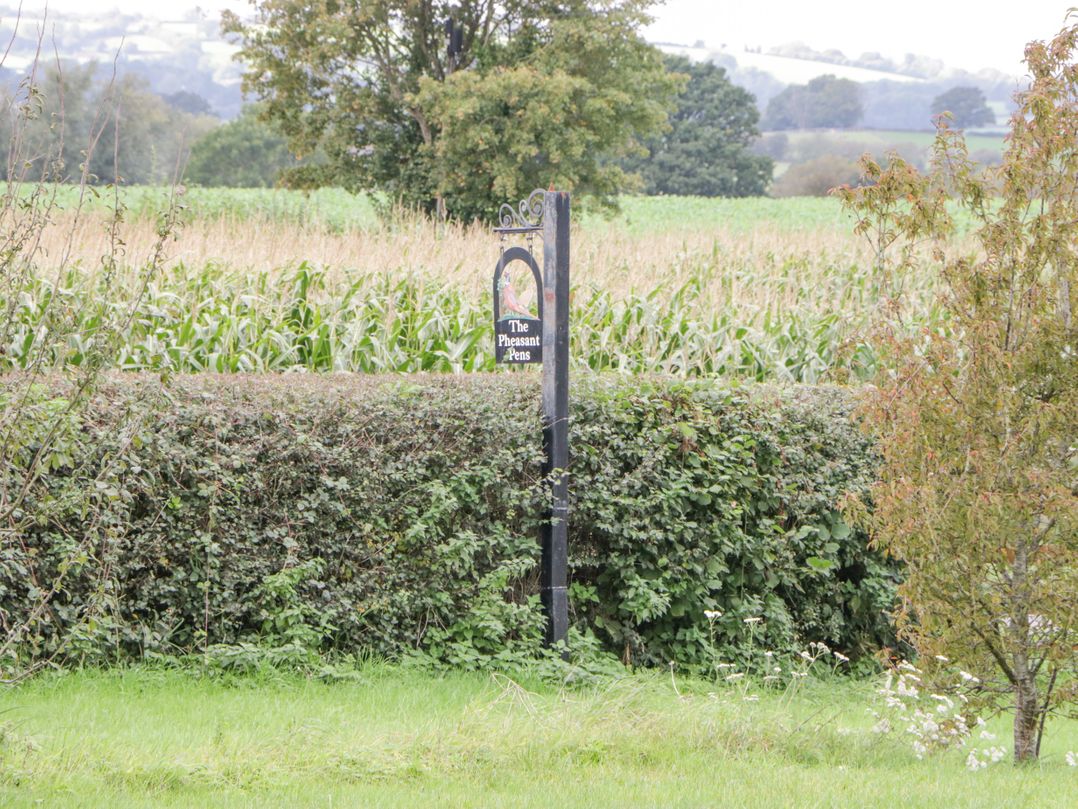The Pheasant One